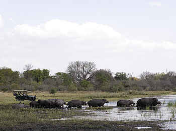 Mvuu Camp: Pirschfahrt ans Flussufer