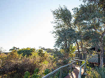 Rra Dinare Camp: Gästezelt unter Bäumen