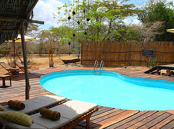 Selous Impala Camp: Swimmingpool