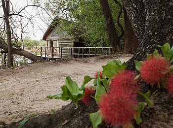 Sindabezi Island Camp: Blick auf das Sunrise Chalet