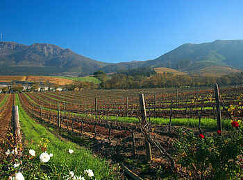 The Cellars-Hohenort Hotel & Spa: Groot Constantia The Cellars-Hohenort Hotel & Spa: Groot Constantia