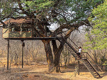 Tum Tum Treehouse Lodge: Firefinch Suite Ansicht