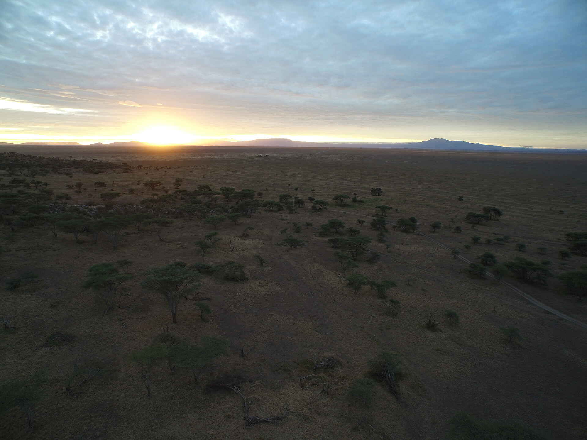 Naabi Hill, Serengeti, Tansania, Wayo Nabi Green Camp, Wayo Africa, Landschaft, Sonnenaufgang, Afrikarma, Afrikarma Safaris, Afrikarma Safaris – Wildnis. Hautnah., afrikarma.de