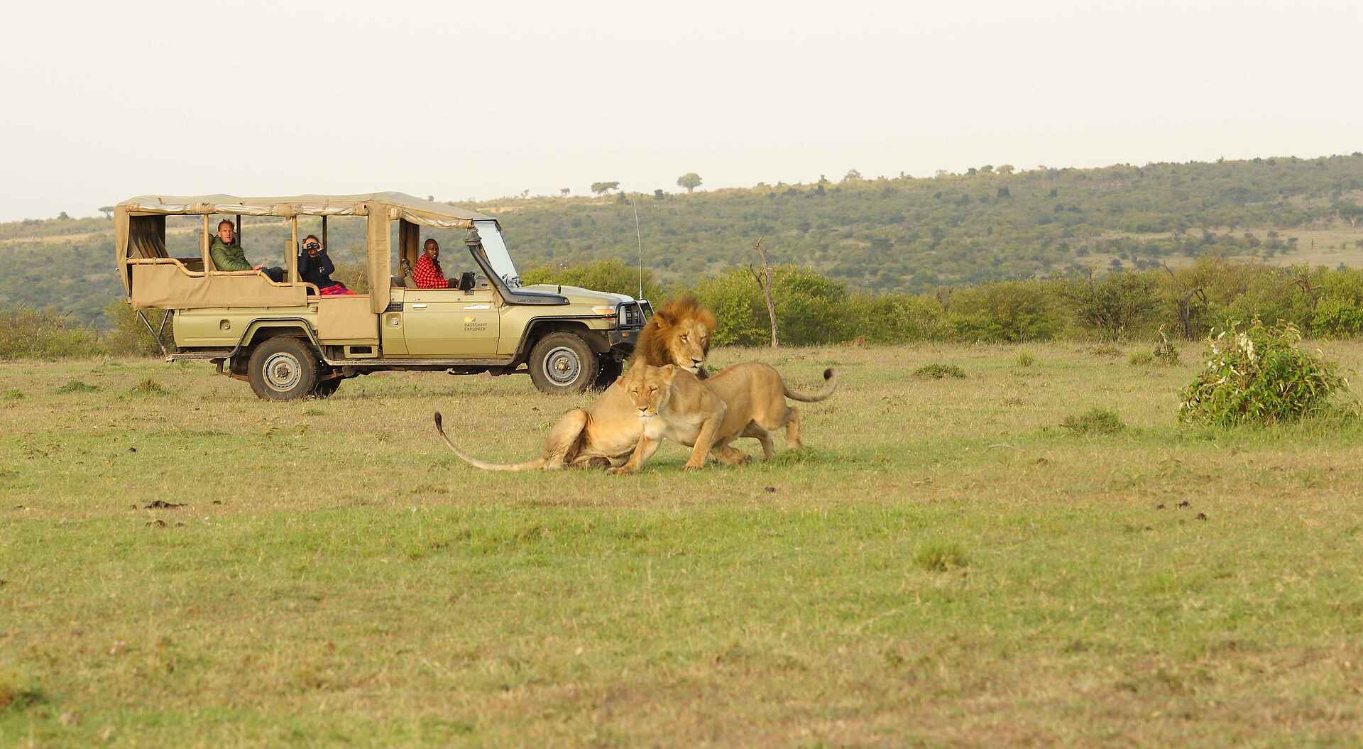 Basecamp Masai Mara: Pirschfahrt