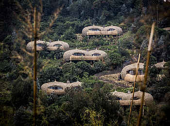 Bisate Lodge: Gästeunterkünfte