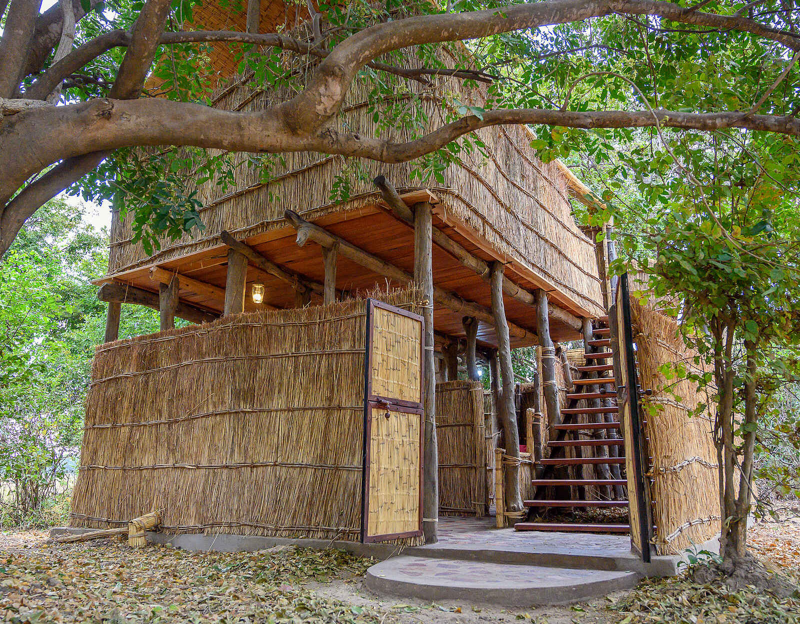 Chikoko Tree Camp: Gästebungalow Chikoko Tree Camp: Gästebungalow