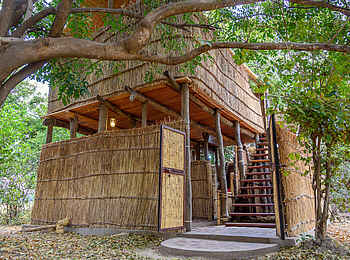 Chikoko Tree Camp: Gästebungalow Chikoko Tree Camp: Gästebungalow