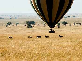 Forest Chem Chem: Eine Fahrt mit dem Heißluftballon Forest Chem Chem: Eine Fahrt mit dem Heißluftballon