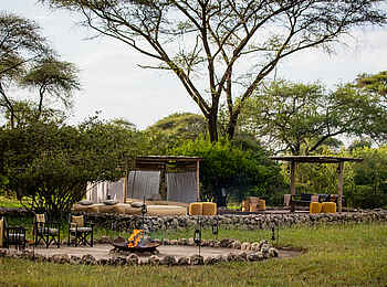 Forest Chem Chem: Platz für abendlicher Lagerfeuer Forest Chem Chem: Platz für abendlicher Lagerfeuer