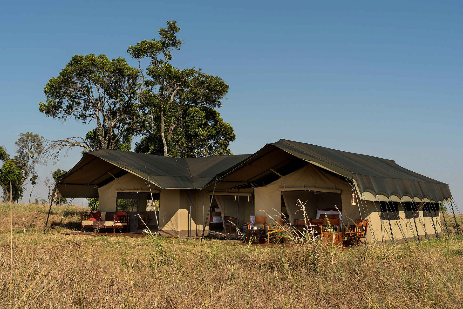 Lemala Mara Tented Camp: Familienzelt