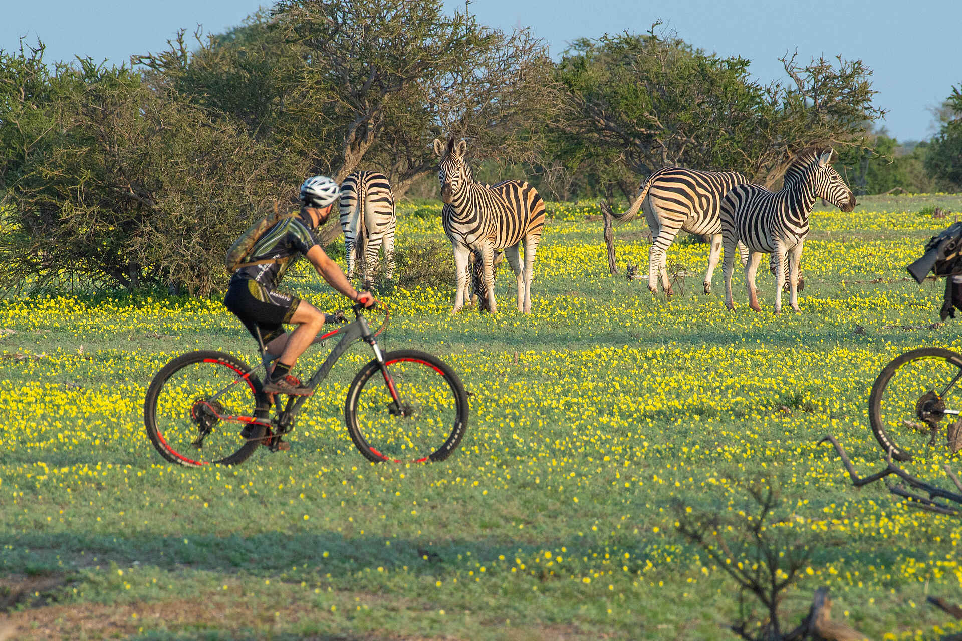 Mashatu Lodge: Fahrradsafari