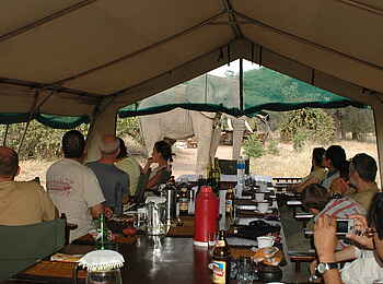 Mdonya Old River Camp: Elefantenbesuch beim Lunch