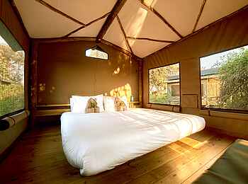 Oddball's Camp: Gästezelt mit Doppelbett Oddball's Camp: Gästezelt mit Doppelbett