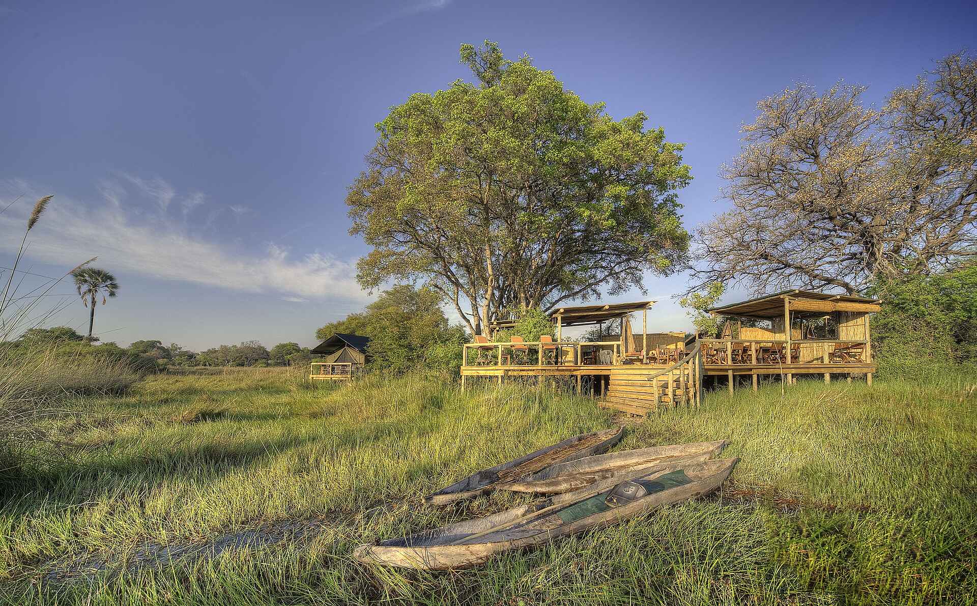 Oddball's Enclave Camp, Footsteps in Africa, Lodges of Botswana, Moremi Game Reserve, NG 27B, Okavango-Delta, Gesamtansicht, Hauptgebäude, Mokoro, Afrikarma, Afrikarma Safaris, Afrikarma Safaris - Wildnis. Hautnah., Afrikarma.de