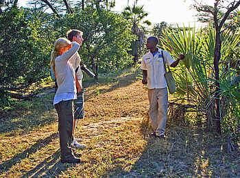 Selous Impala Camp: Geführte Safari