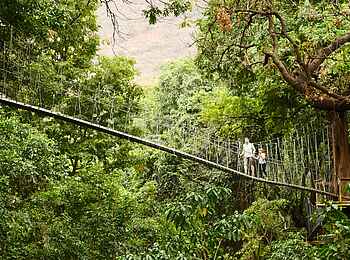 Wayo Manyara Green Camp: Treetop Walk