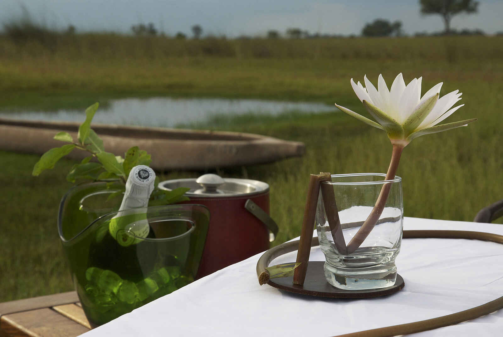Xakanaxa Camp: Sekt und Seerose Xakanaxa Camp: Sekt und Seerose