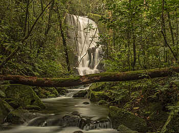 Aberfoyle Lodge: Wasserfall Aberfoyle Lodge: Wasserfall