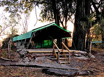 Bushman Plains Camp: Gästezelt Bushman Plains Camp: Gästezelt