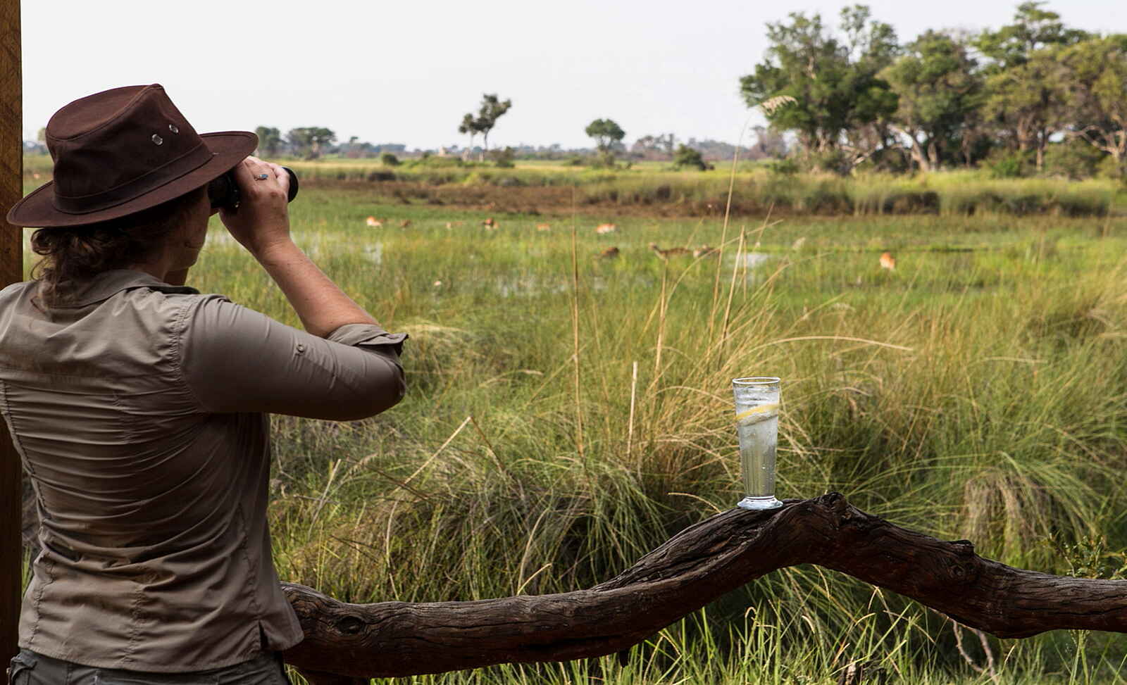 Kanana Camp: Tierbeobachtung direkt von der Veranda aus Kanana Camp: Tierbeobachtung direkt von der Veranda aus