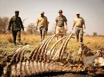 Kusini Serengeti Camp: Wandersafari