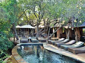 Motswiri Private Safari Lodge: Die gemeinschaftliche Terrasse mit Pool Motswiri Private Safari Lodge: Die gemeinschaftliche Terrasse mit Pool