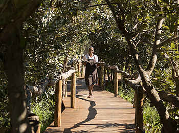 Nokanyana Camp: Walkway