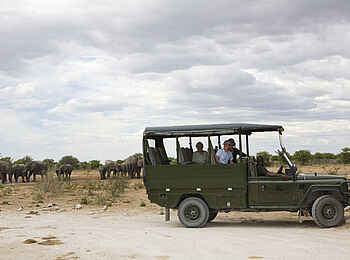 Mushara Game Drive: Elefantenherde