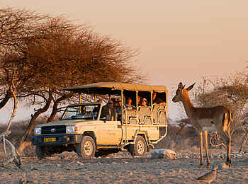 Onguma Camp Kala: Pirschfahrt