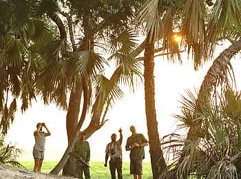 Roho ya Selous Camp: Walking Safari mit professionellen Guides Roho ya Selous Camp: Walking Safari mit professionellen Guides