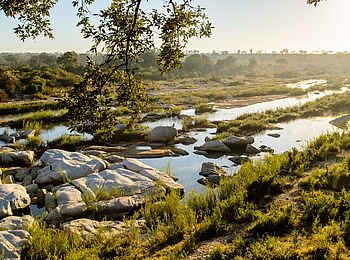 Singita Boulders Lodge: Wasserstelle