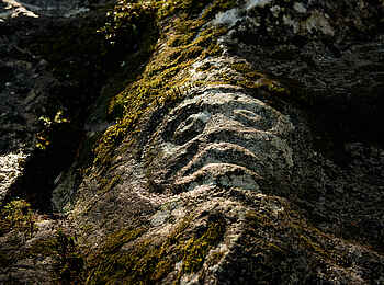 Tweedsmuir Park Lodge: Historische Petroglyphe