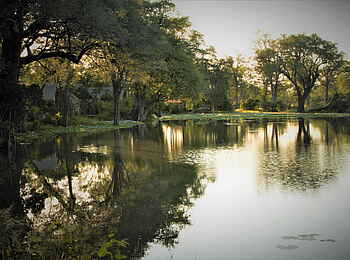 Ingwe Pan Camp: Zelte am Pfannenrand Ingwe Pan Camp: Zelte am Pfannenrand