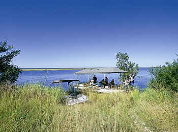 Chobe Savanna: Inselbesuch Chobe Savanna: Inselbesuch