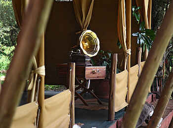 Elephant Pepper Camp: Authentische Details Elephant Pepper Camp: Authentische Details