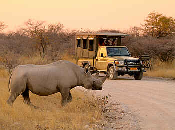 Epacha Game Lodge and Spa: Die Sichtung eines Nashorns