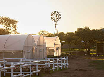 Gmundner Lodge: Rundgang auf der Farm Gmundner Lodge: Rundgang auf der Farm