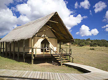 Gorah Elephant Camp: Blick auf ein Gästezelt Gorah Elephant Camp: Blick auf ein Gästezelt