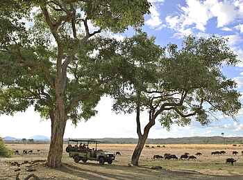 Jabali Private House: Büffel