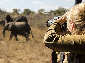 Khulu Bush Camp: Game Drive Khulu Bush Camp: Game Drive