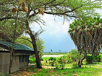 Lake Manze Camp: Unter schattigen Bäumen Lake Manze Camp: Unter schattigen Bäumen