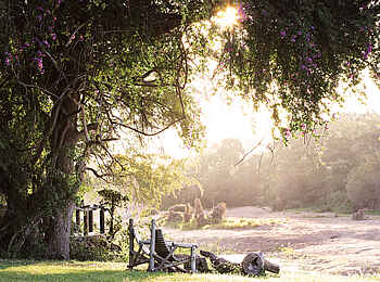 Motswari Game Lodge: Am Flussufer