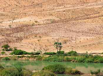 Okahirongo River Camp: Grüne Oase Okahirongo River Camp: Grüne Oase