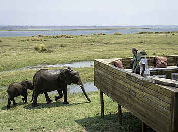 Ruckomechi Camp: Aussicht von der Boma Ruckomechi Camp: Aussicht von der Boma