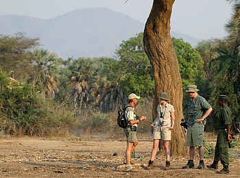 Sausage Tree Camp: Walking Safari