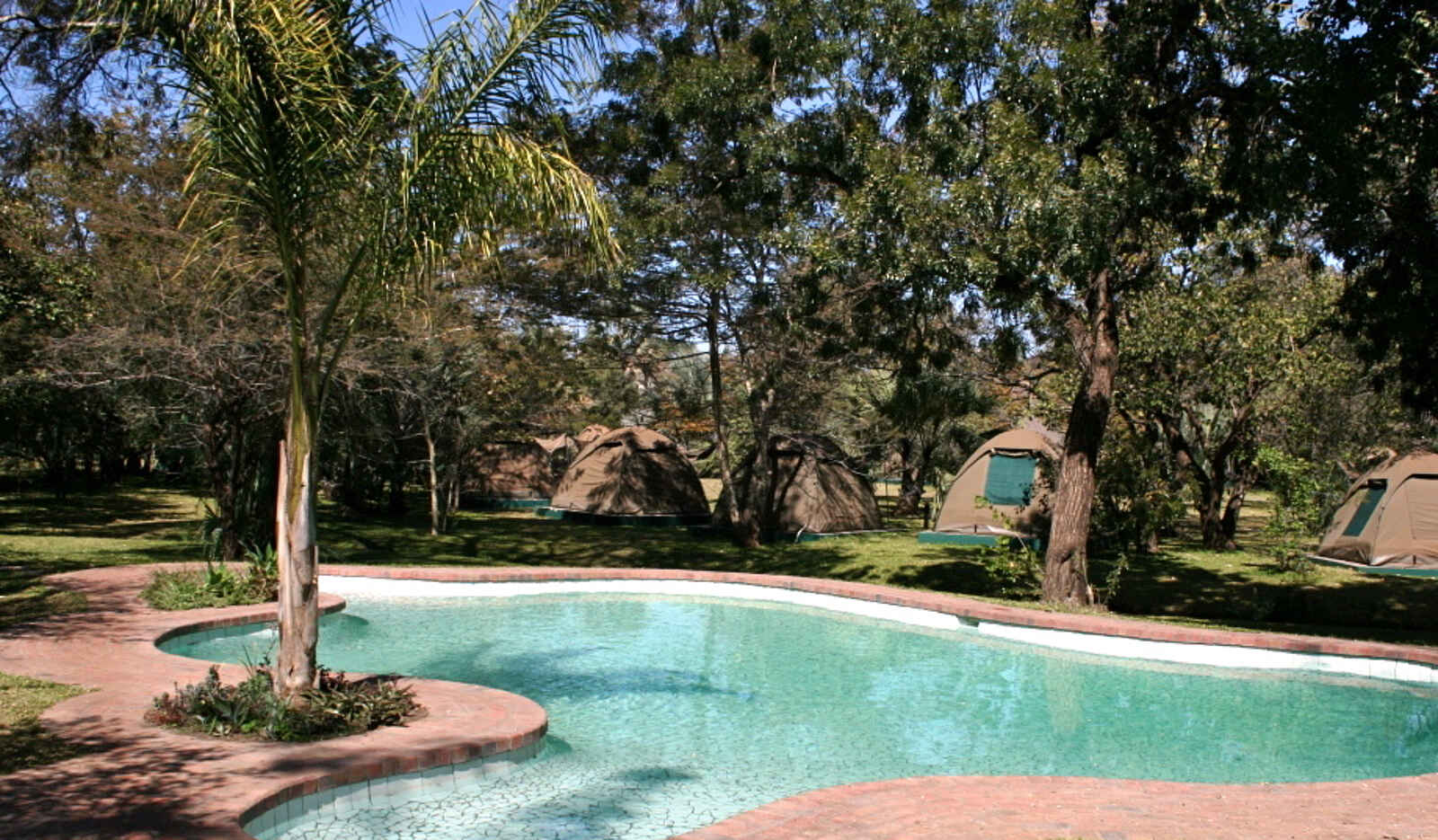 The Zambezi Waterfront: Swimming Pool und Zeltdorf The Zambezi Waterfront: Swimming Pool und Zeltdorf