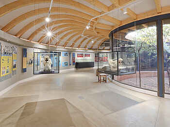 Anderssons At Ongava: Exponate im Science Center Anderssons At Ongava: Exponate im Science Center