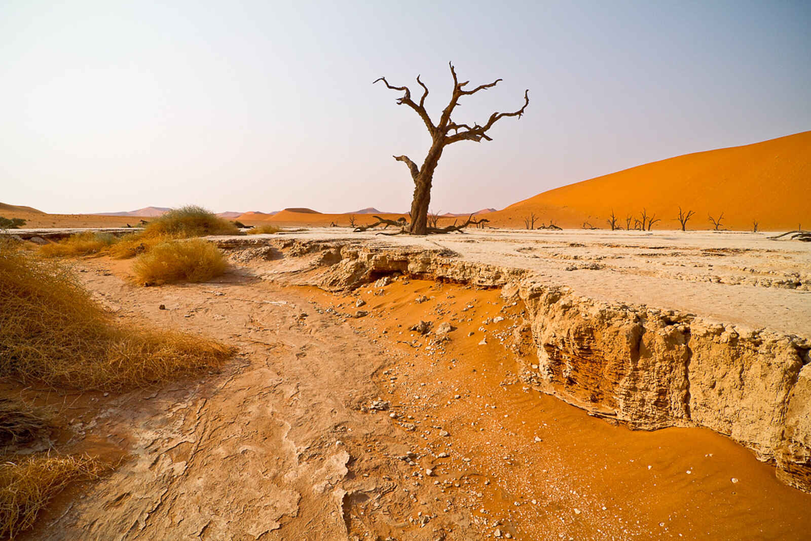 Desert Homestead Outpost: Trockenes Sossusvlei Desert Homestead Outpost: Trockenes Sossusvlei