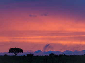 Londolozi Private Granite Suites: Mystisches Londolozi