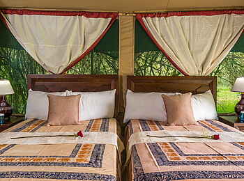 Losokwan Camp: Einzelbetten im Gästezelt